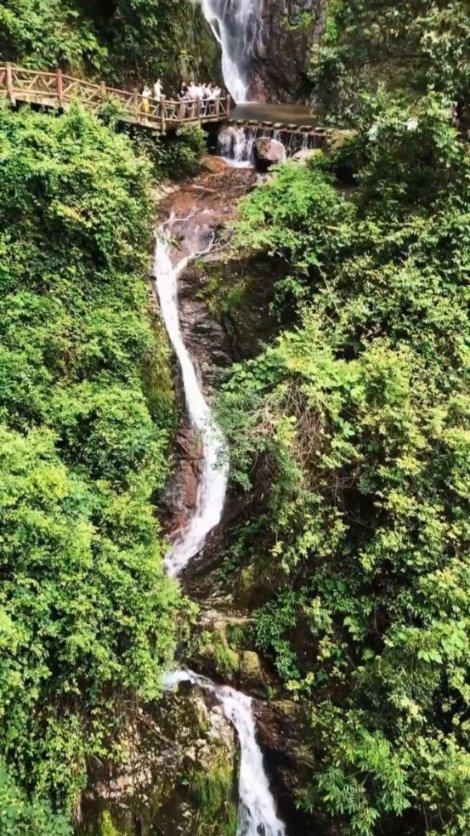 荒野大镖客2